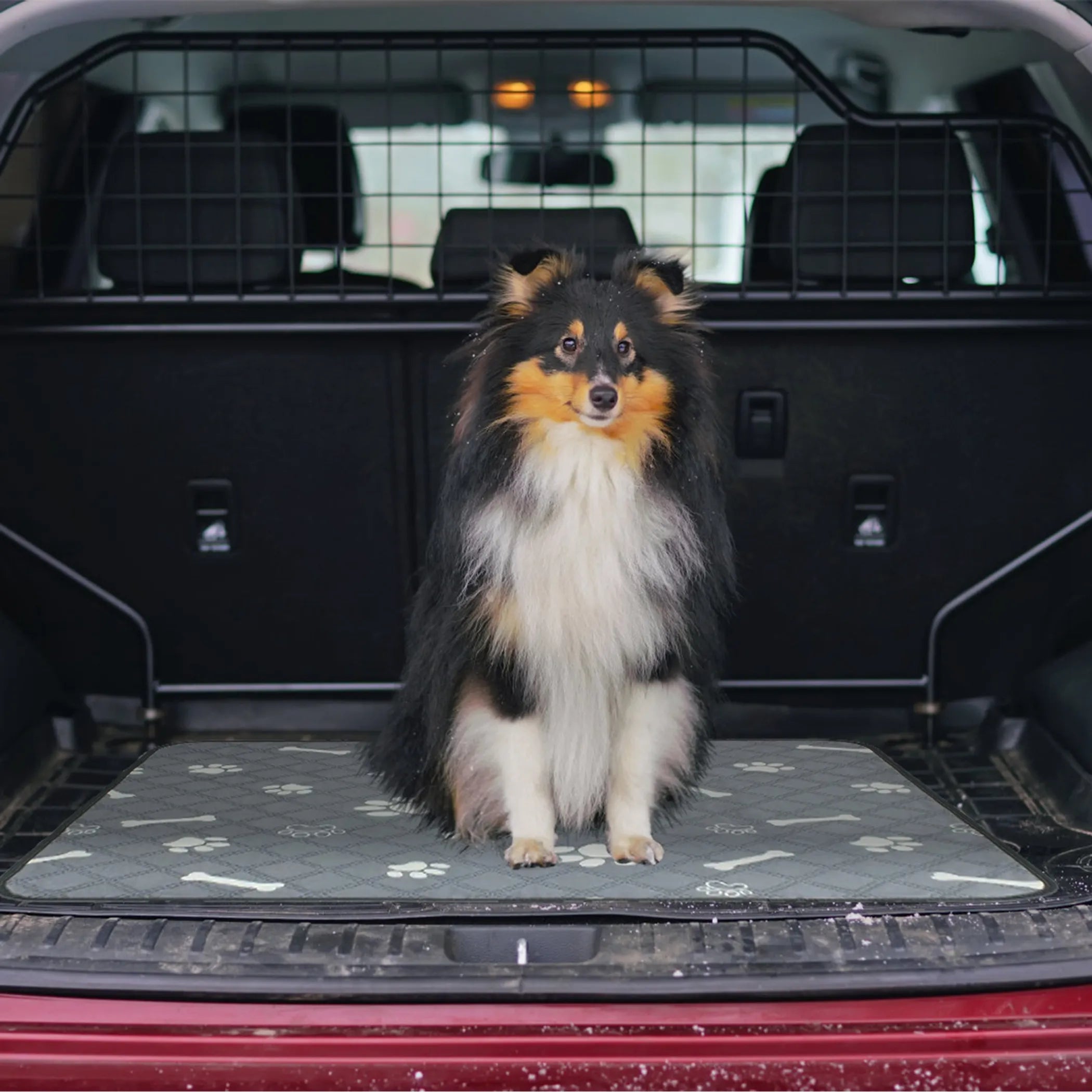 2Pcs Washable Pet Pee Pads